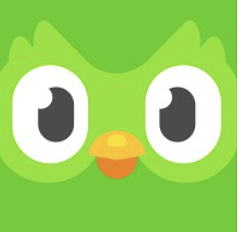 ren8o01kut0ujdbd9stpqecvrscf